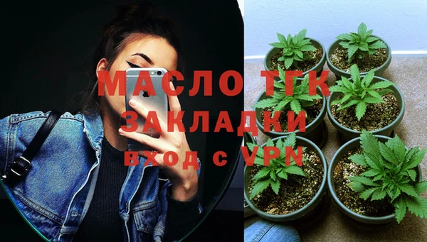 сатива Сатка