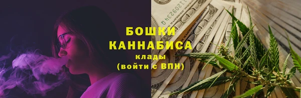 сатива Сатка