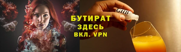 сатива Сатка