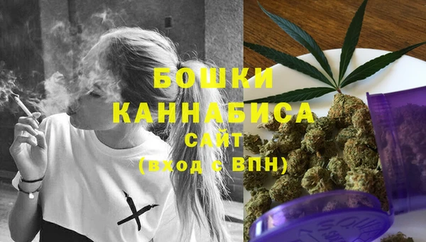 молекула духа Семилуки
