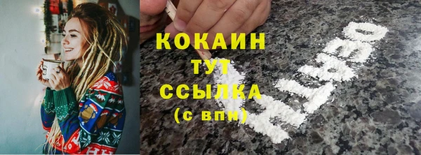 сатива Сатка