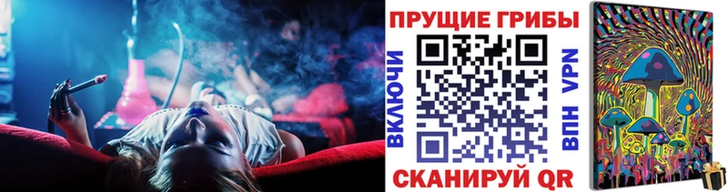 Галлюциногенные грибы Psilocybine cubensis  Купить  Карпинск 